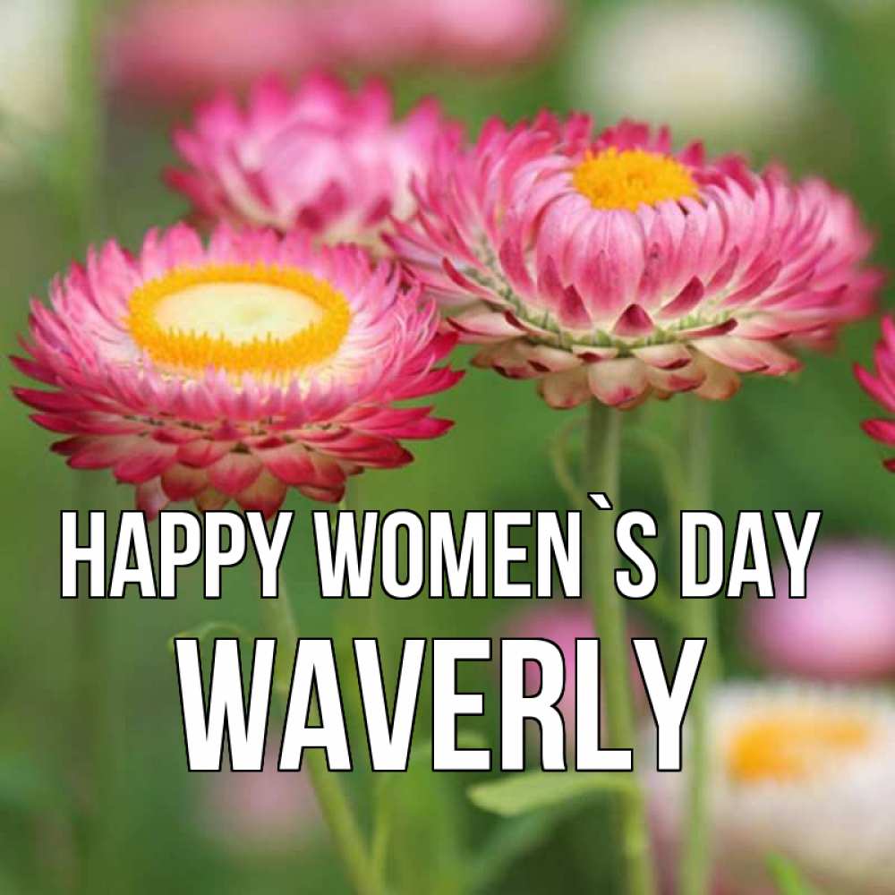 Greetings card с именем, Waverly happy women`s day подарок на международный женский день Greetings with text for free download 